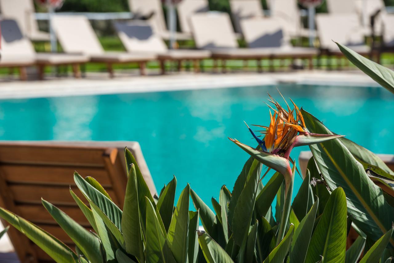 Hotel Bitzaro Grande & 3*
