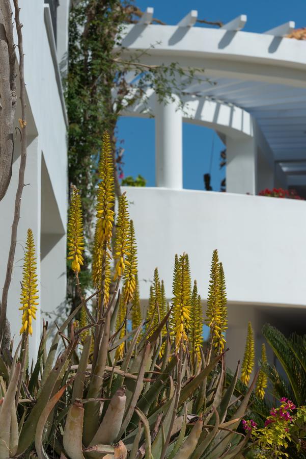 Hotell Bitzaro Grande & 3*